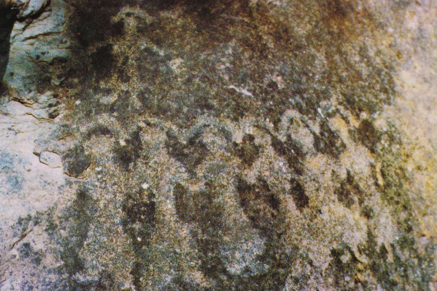 figure_0006_0010