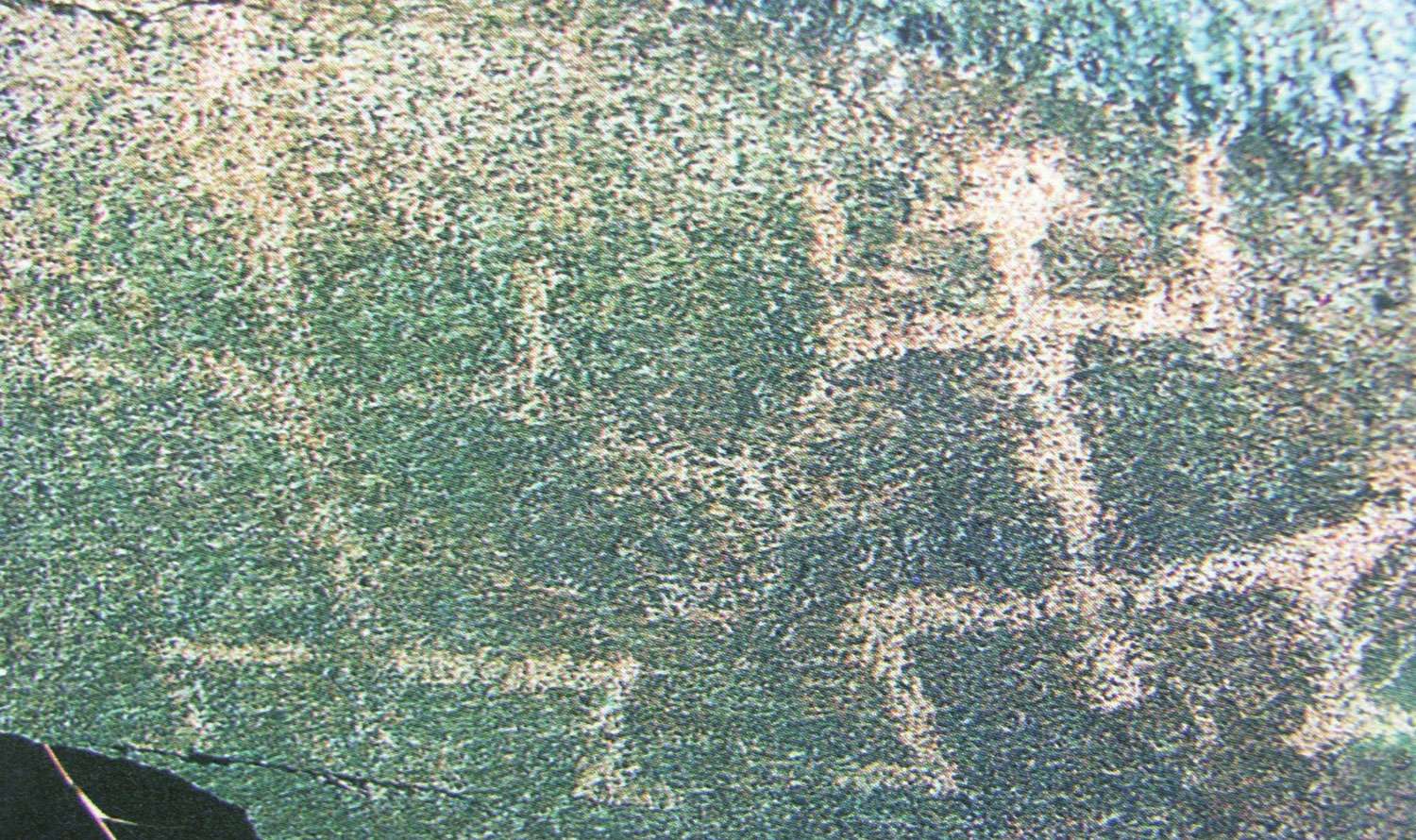 figure_0012_0026