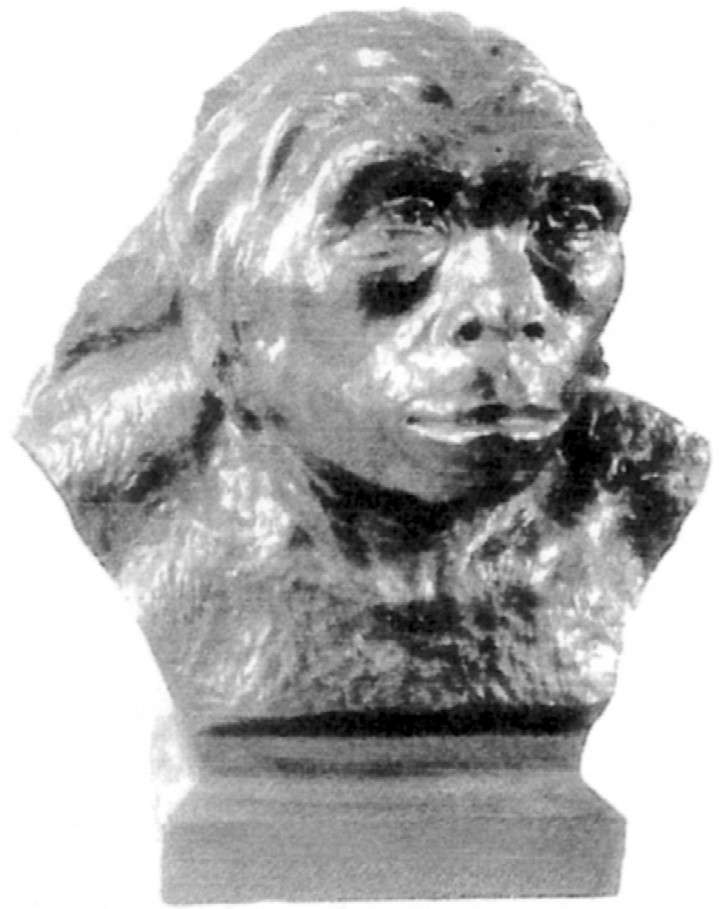 figure_0029_0042