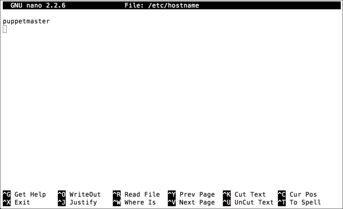 Setting the hostname