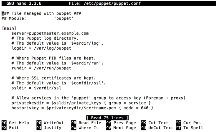 Installing Puppet