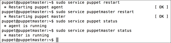 Installing Puppet