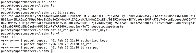 Creating the public and private key