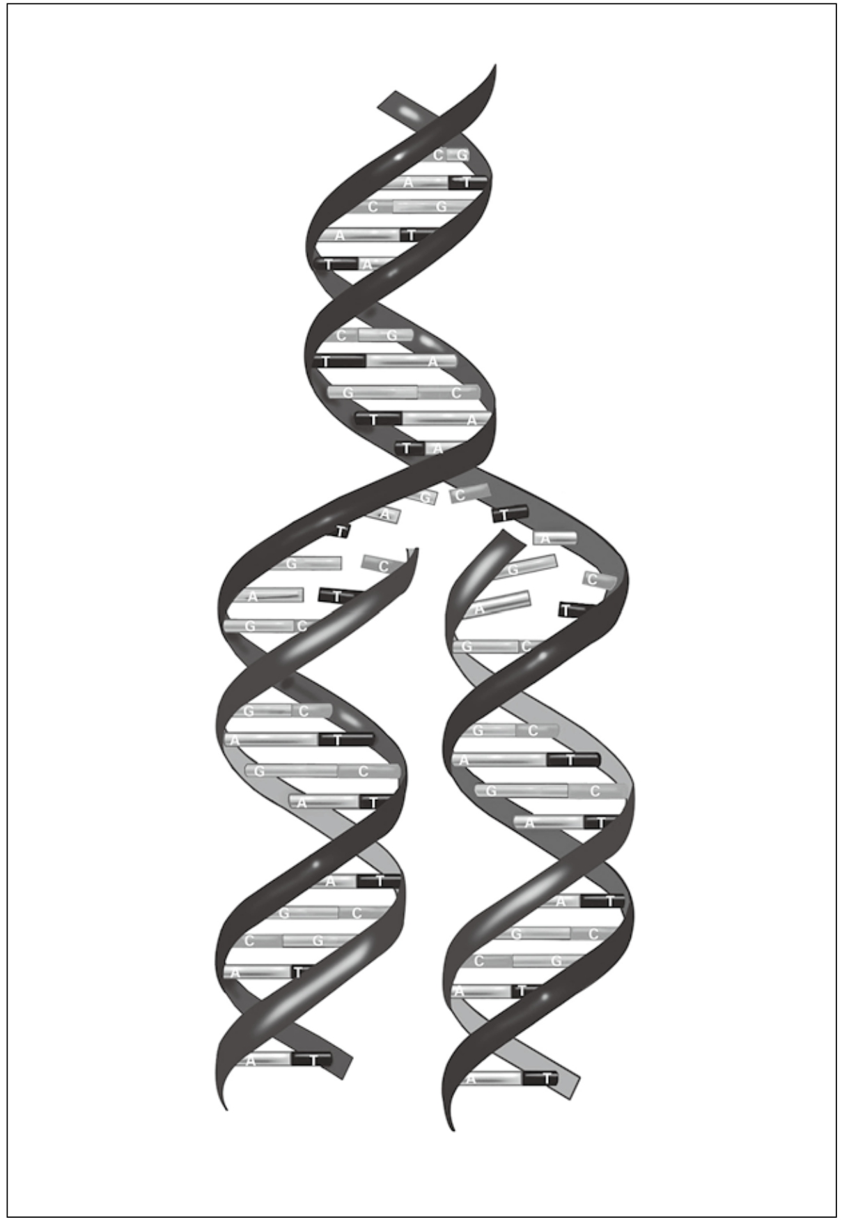 002-1