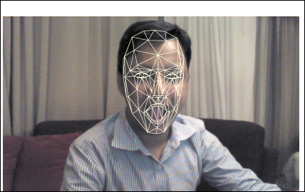 The Face Tracking SDK