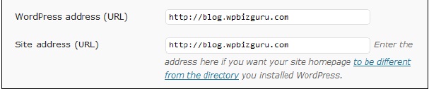 WPBizGuru—the man behind the blog