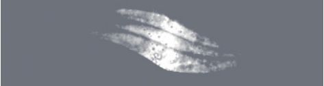 60229-00-013-3